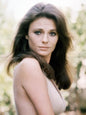 Photo Jacqueline Bisset - Couleur - 15x20