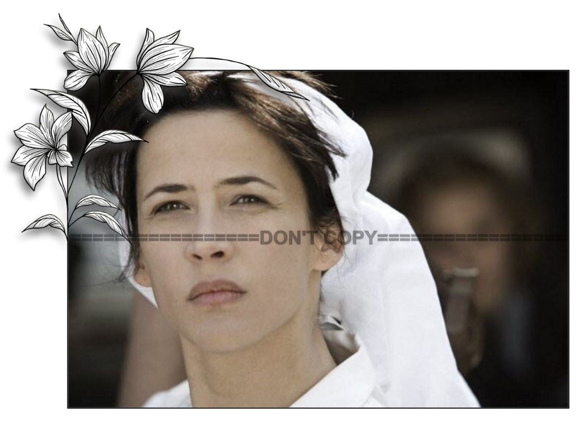 Photo Sophie Marceau – Les Femmes de l’ombre (2008) – Portrait Cinéma – 15×20