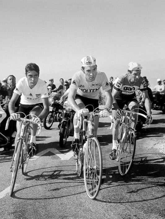 Photo Luis Ocaña, Eddy Merckx & Raymond Poulidor - Tour de France 1972 - 15 x 20