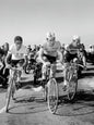 Photo Luis Ocaña, Eddy Merckx & Raymond Poulidor - Tour de France 1972 - 15 x 20