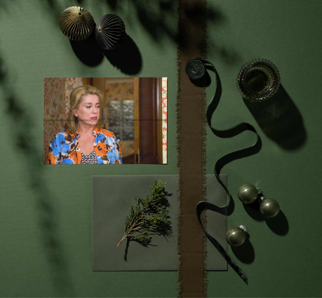 Photo Catherine Deneuve – La Fille du RER (2009) – Portrait Cinéma Drame – 15×20