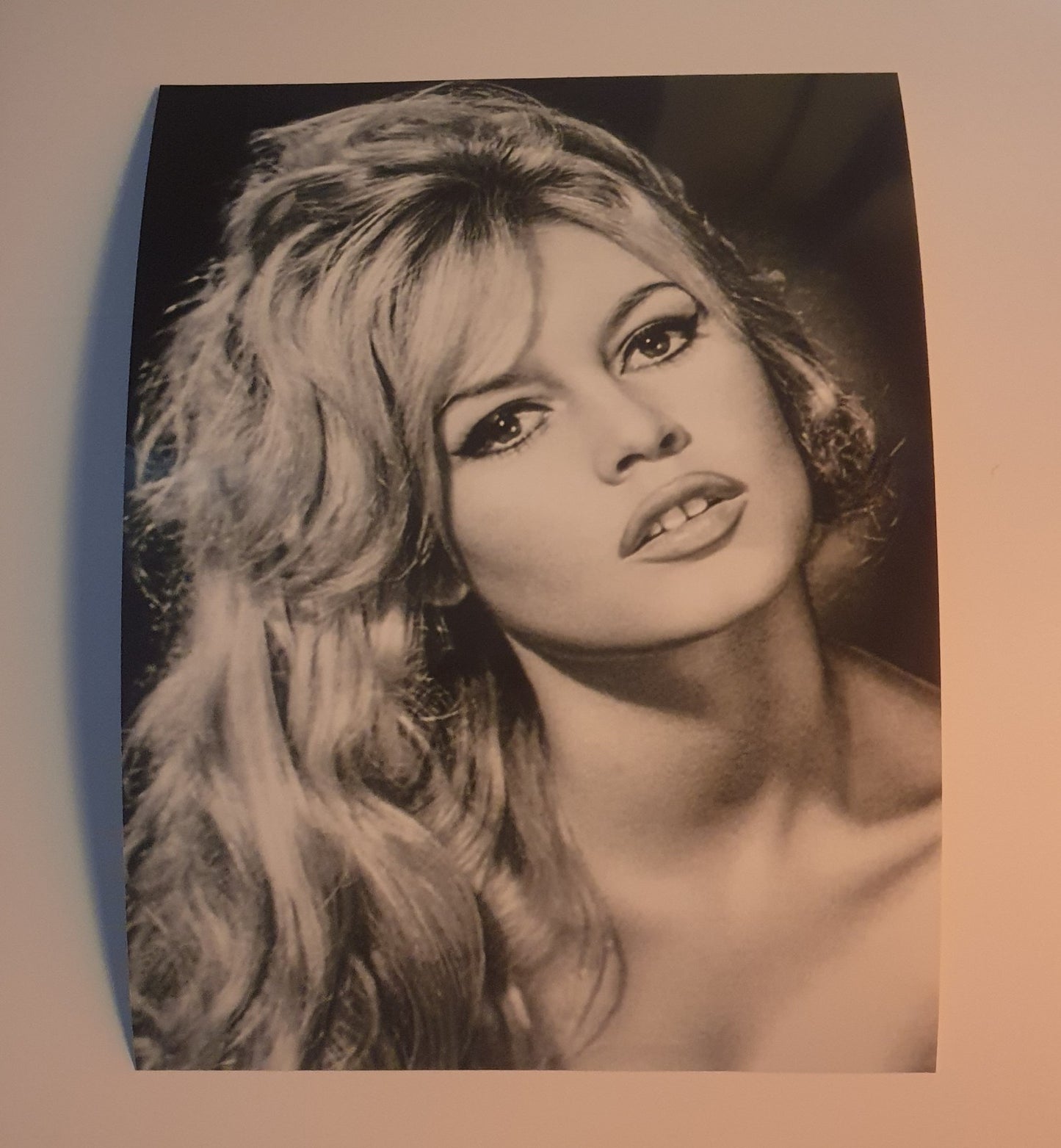 Photo Brigitte Bardot - Noir et blanc - 15×20