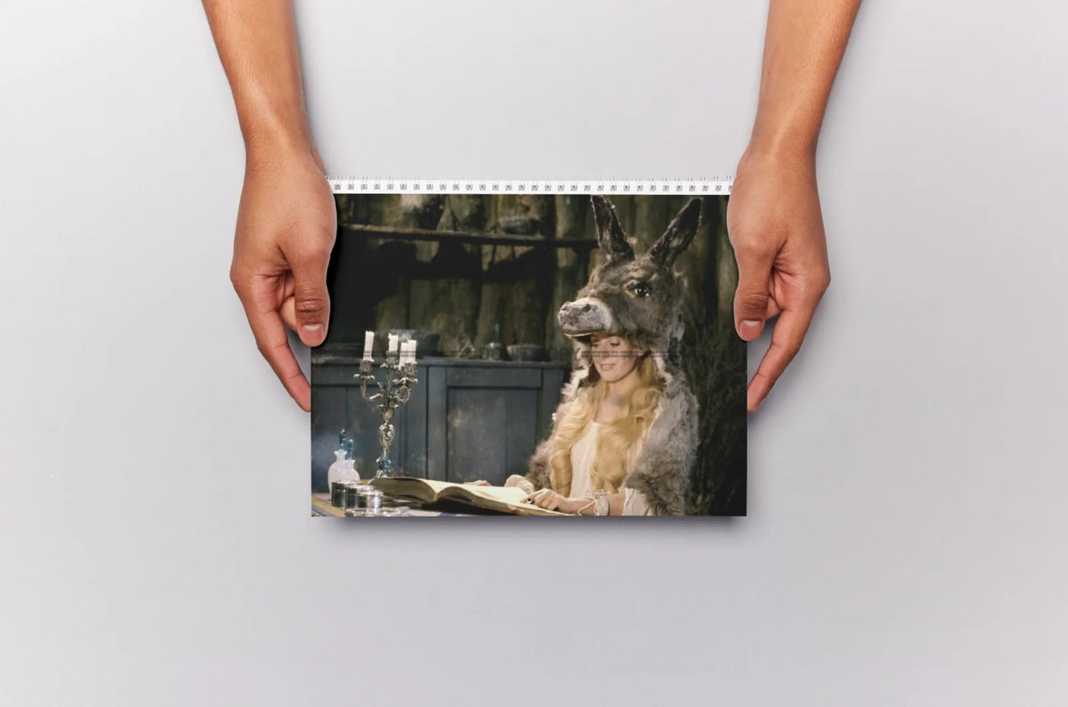 Photo Catherine Deneuve – Peau d’Âne (1970) – Conte Cinéma Fantaisie – 15×20