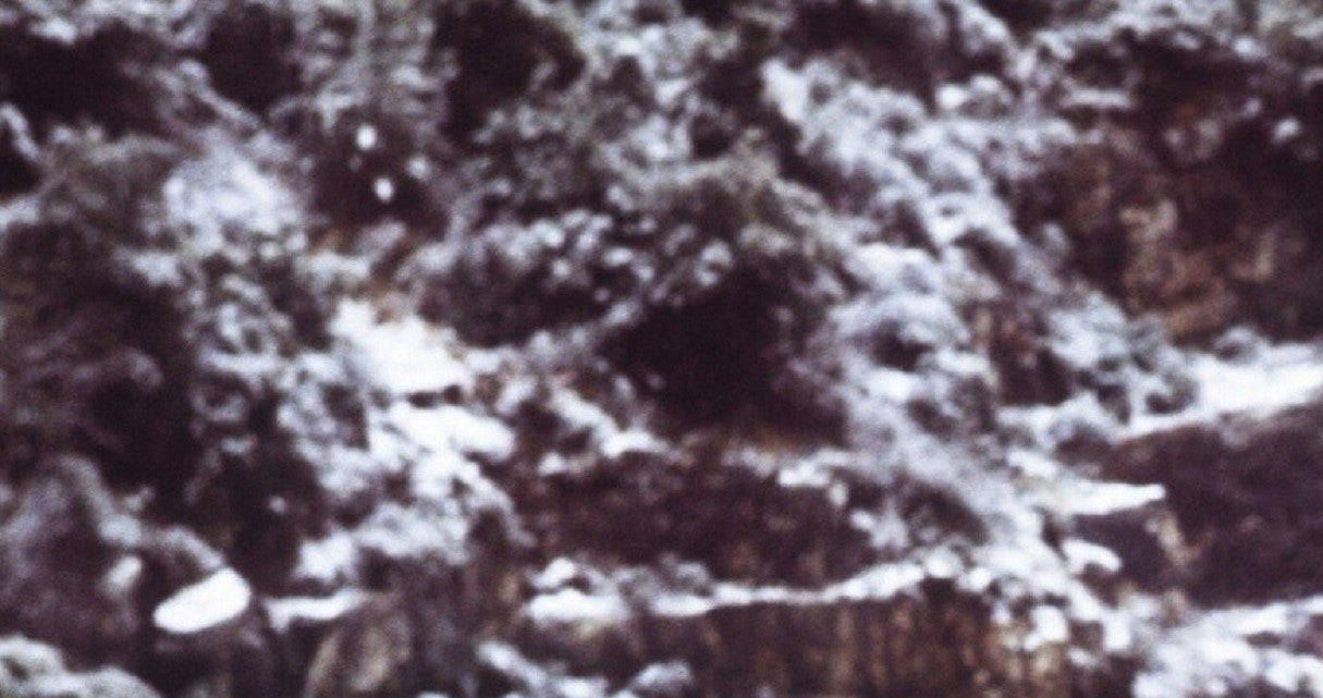Photo Encadrée Michèle Mouton – Lancia Stratos HF – Rallye Monte-Carlo – 15×20