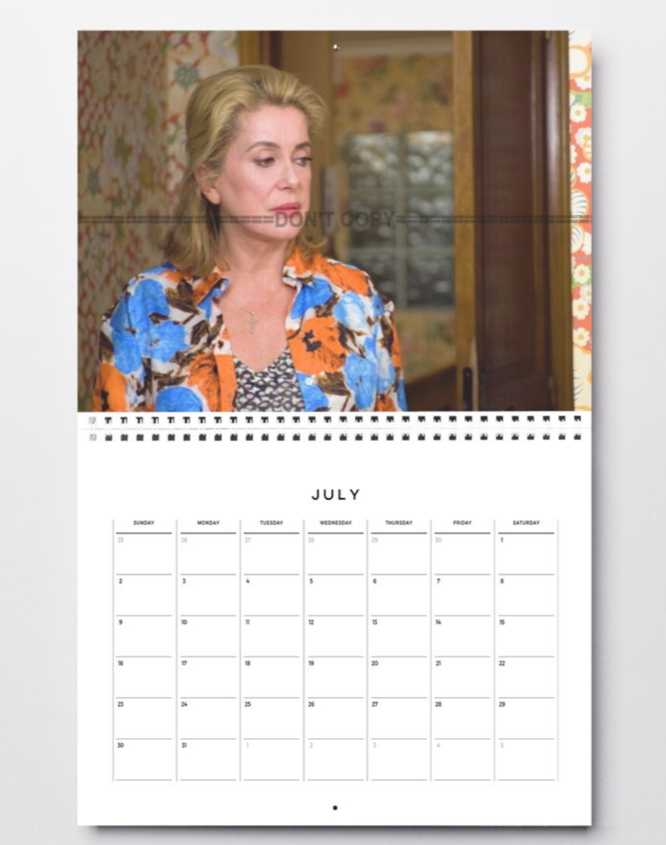 Photo Catherine Deneuve – La Fille du RER (2009) – Portrait Cinéma Drame – 15×20
