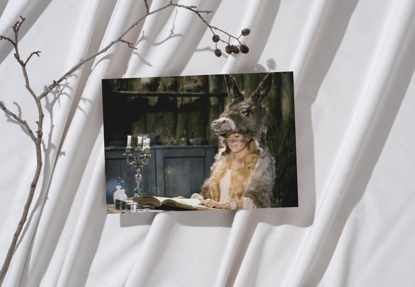 Photo Catherine Deneuve – Peau d’Âne (1970) – Conte Cinéma Fantaisie – 15×20
