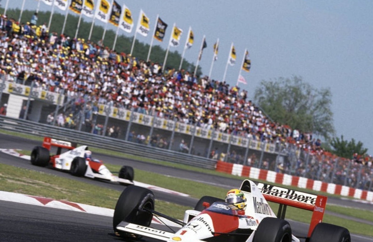 Photo Ayrton Senna & Alain Prost – GP de Saint-Marin (Imola) – Duel 1988 – 15×20