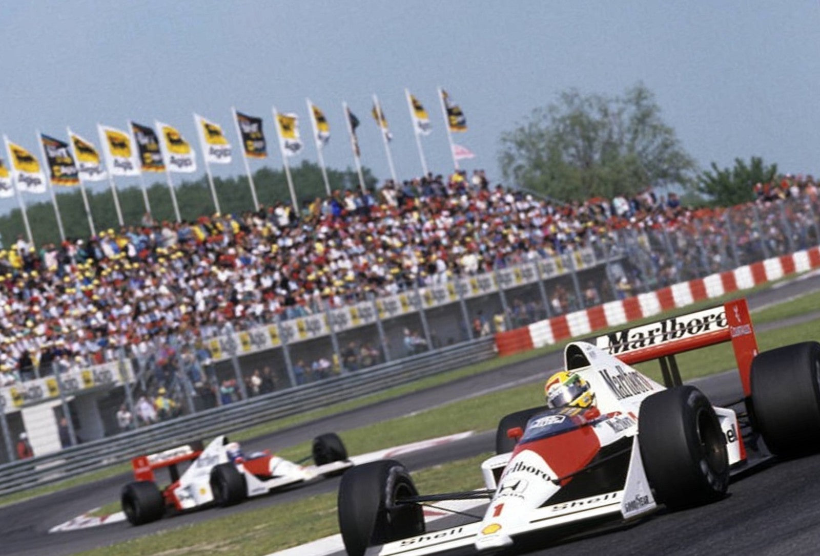 Photo Ayrton Senna & Alain Prost – GP de Saint-Marin (Imola) – Duel 1988 – 15×20