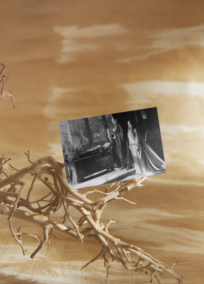 Photo Bela Lugosi – La Marque du Vampire (1935) – Scène Culte Gothique – 15×20
