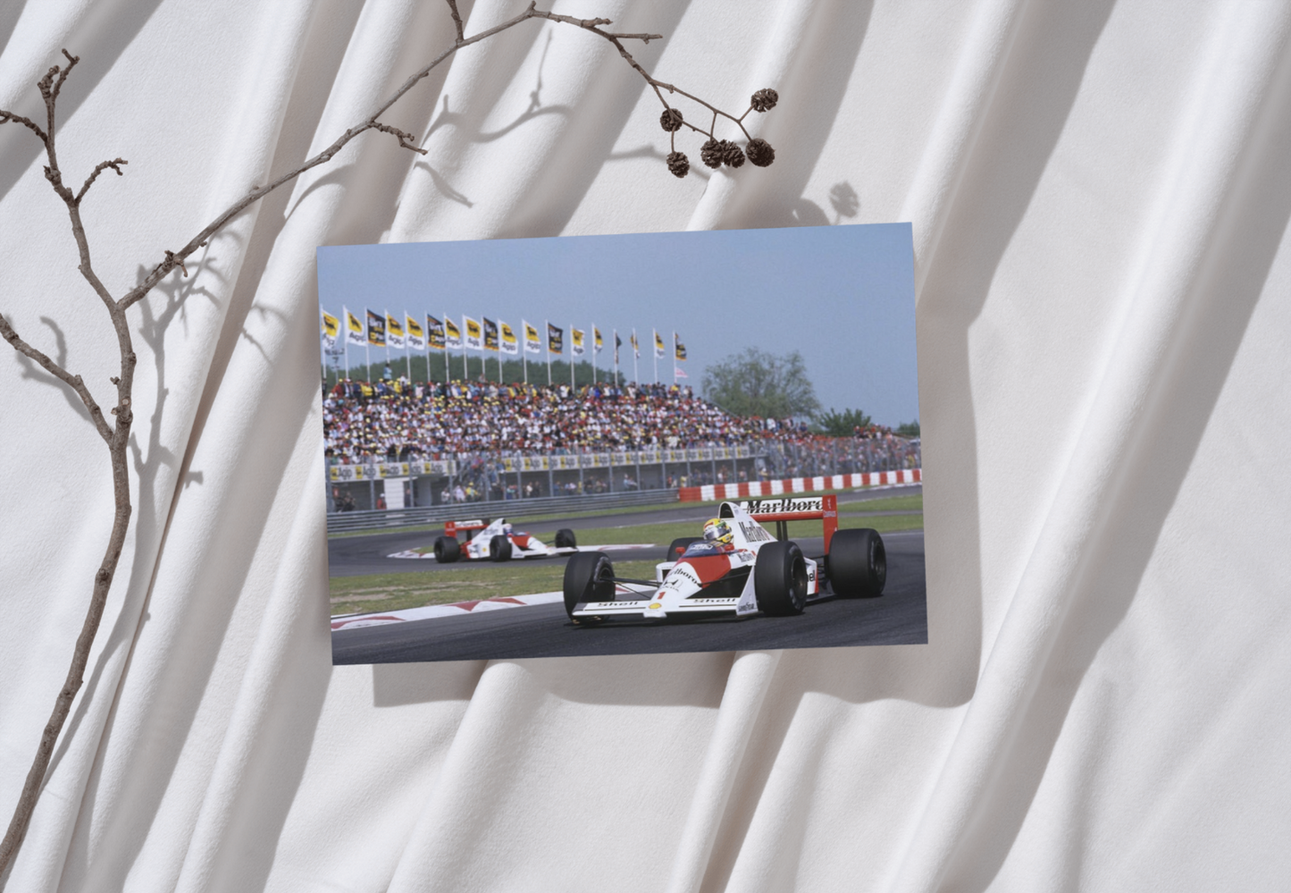 Photo Ayrton Senna & Alain Prost – GP de Saint-Marin (Imola) – Duel 1988 – 15×20