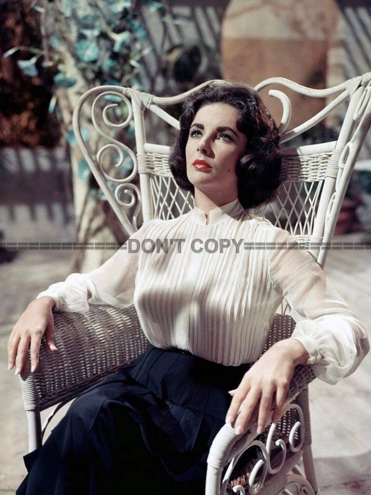 Photo Elizabeth Taylor - Soudain l'été dernier 1959