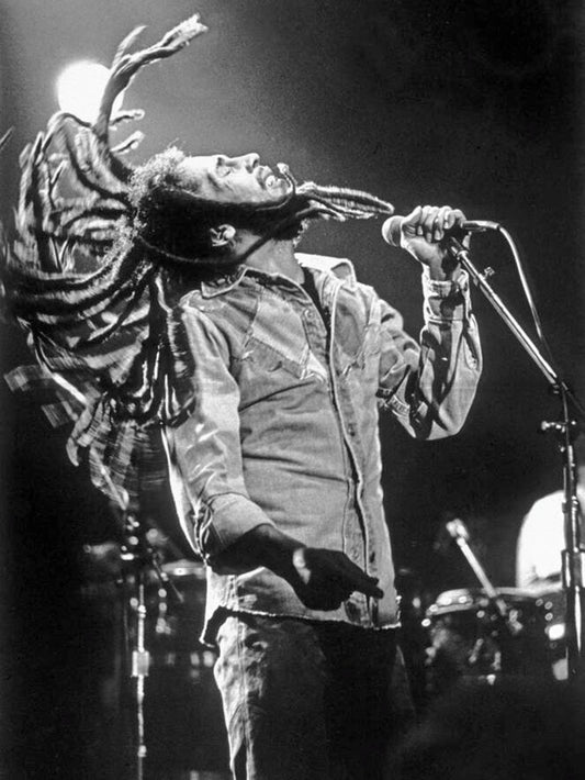 Photo Bob Marley en plein concert avec ses dreadlocks en mouvement - 15 x 20