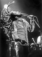 Photo Bob Marley en plein concert avec ses dreadlocks en mouvement - 15 x 20