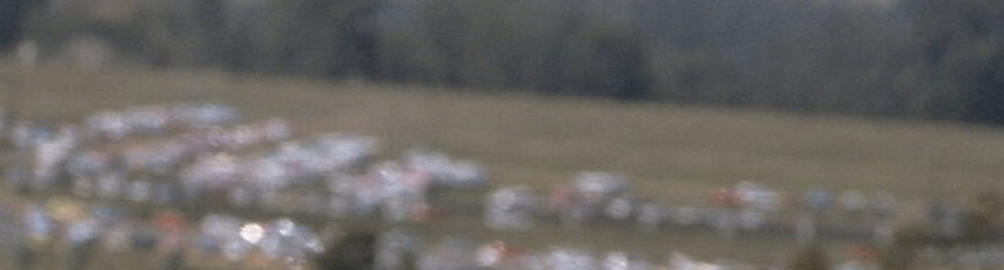 Photo Ayrton Senna – McLaren MP4/8 – Saison F1 1993 – Légende Motorsport – 15x20