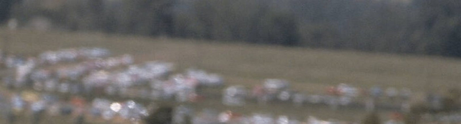 Photo Ayrton Senna – McLaren MP4/8 – Saison F1 1993 – Légende Motorsport – 15x20