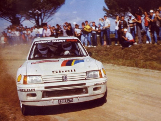 Photo Ari Vatanen & Terry Harryman - Peugeot 205 Turbo 16 - Corse 1985 - 15 x 20