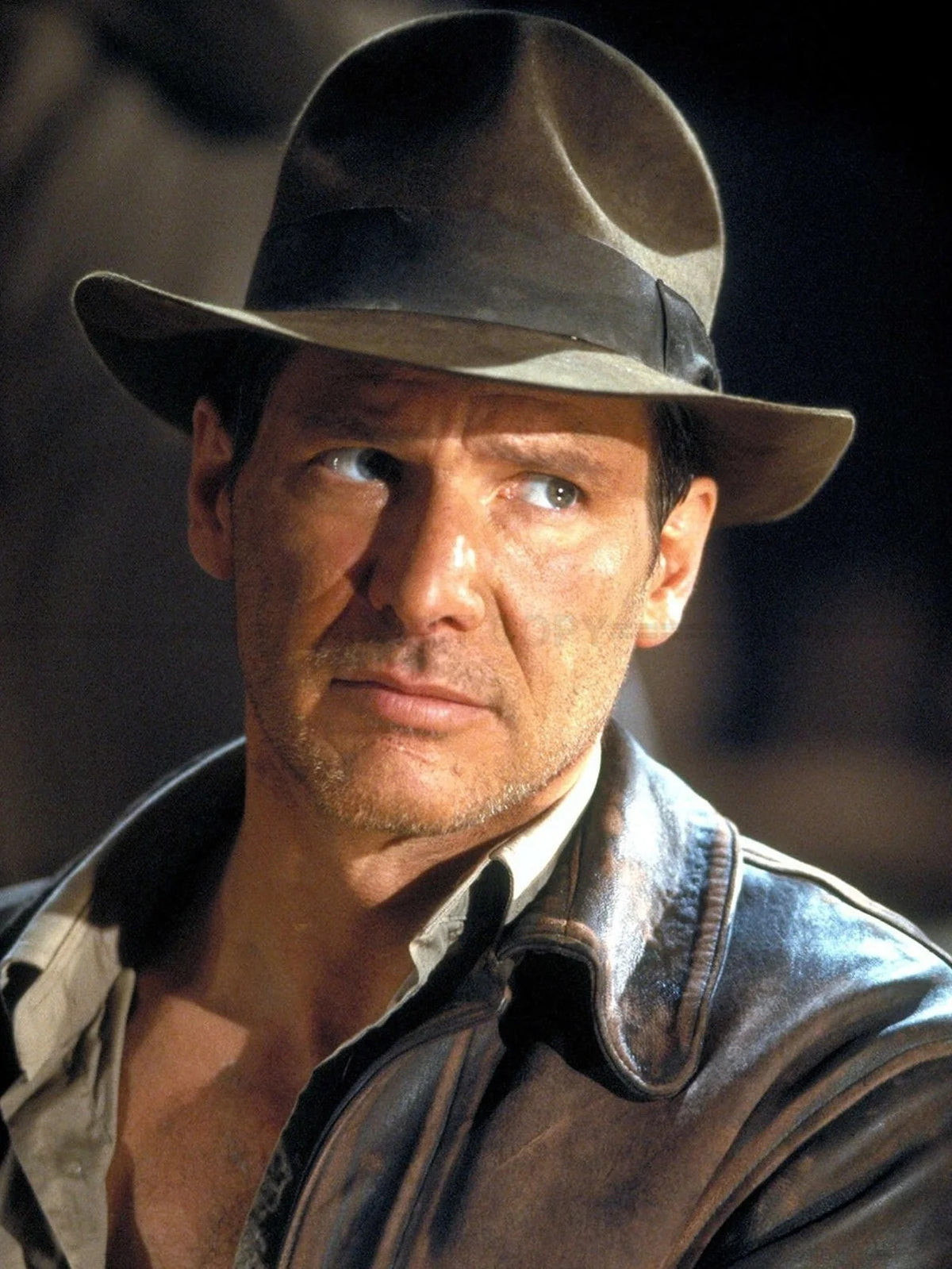 Photo Harrison Ford - Les Aventuriers de l'arche perdue, sorti en 1981 - 15x20