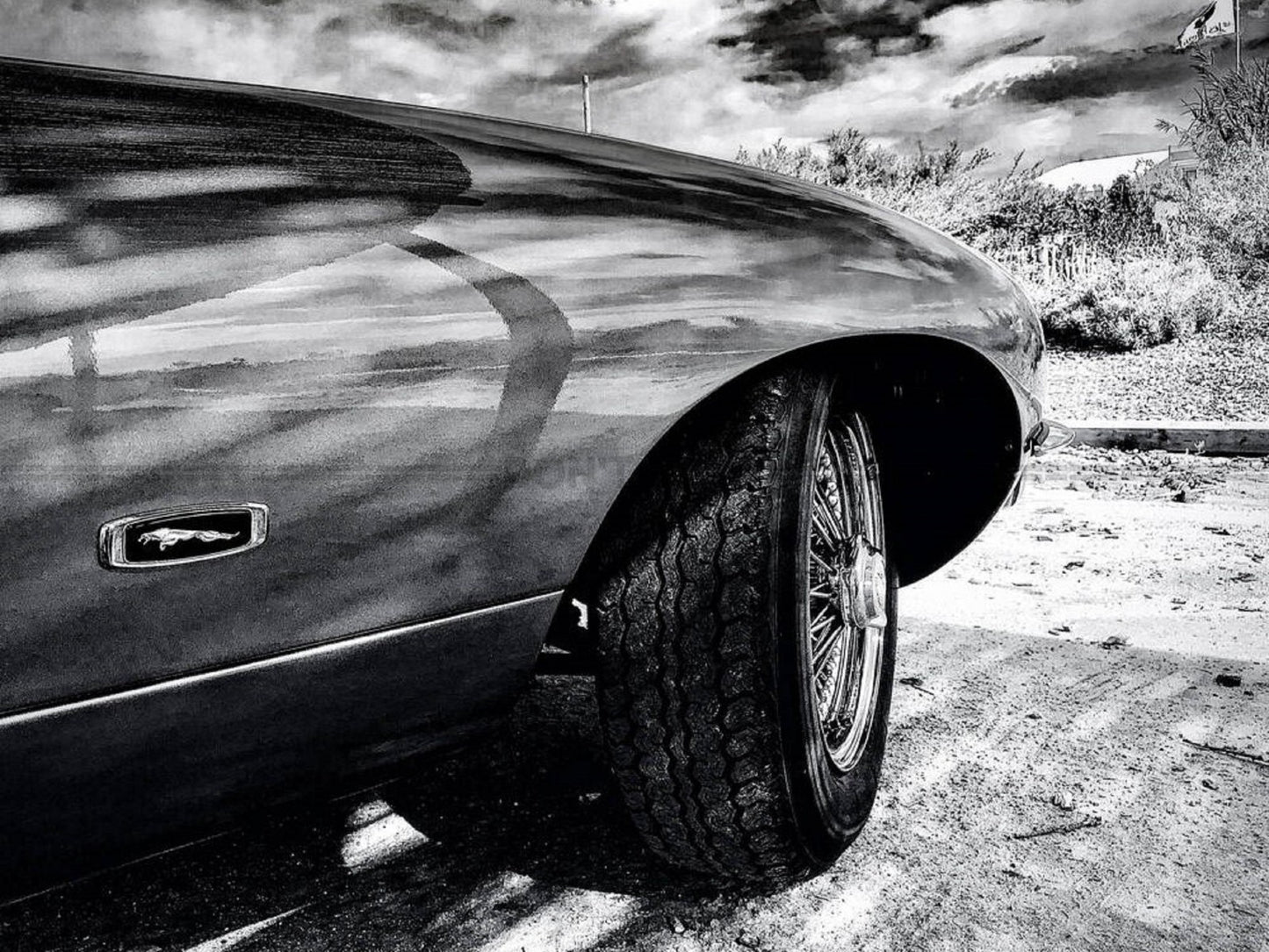 Photo Jaguar Type E - 15x20