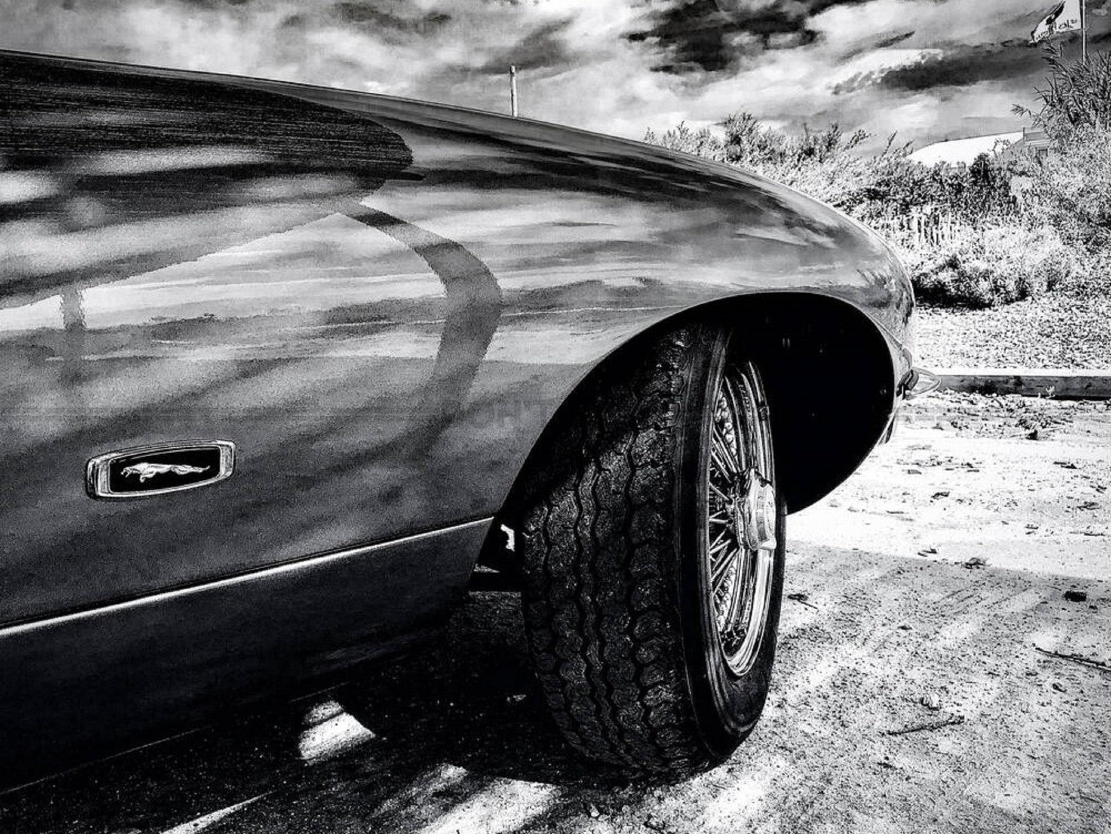 Photo Jaguar Type E - 15x20