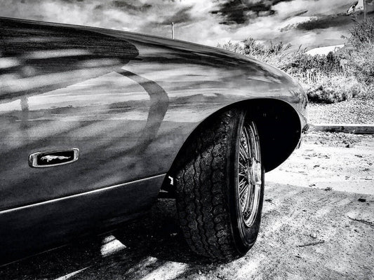 Photo Jaguar Type E - 15x20