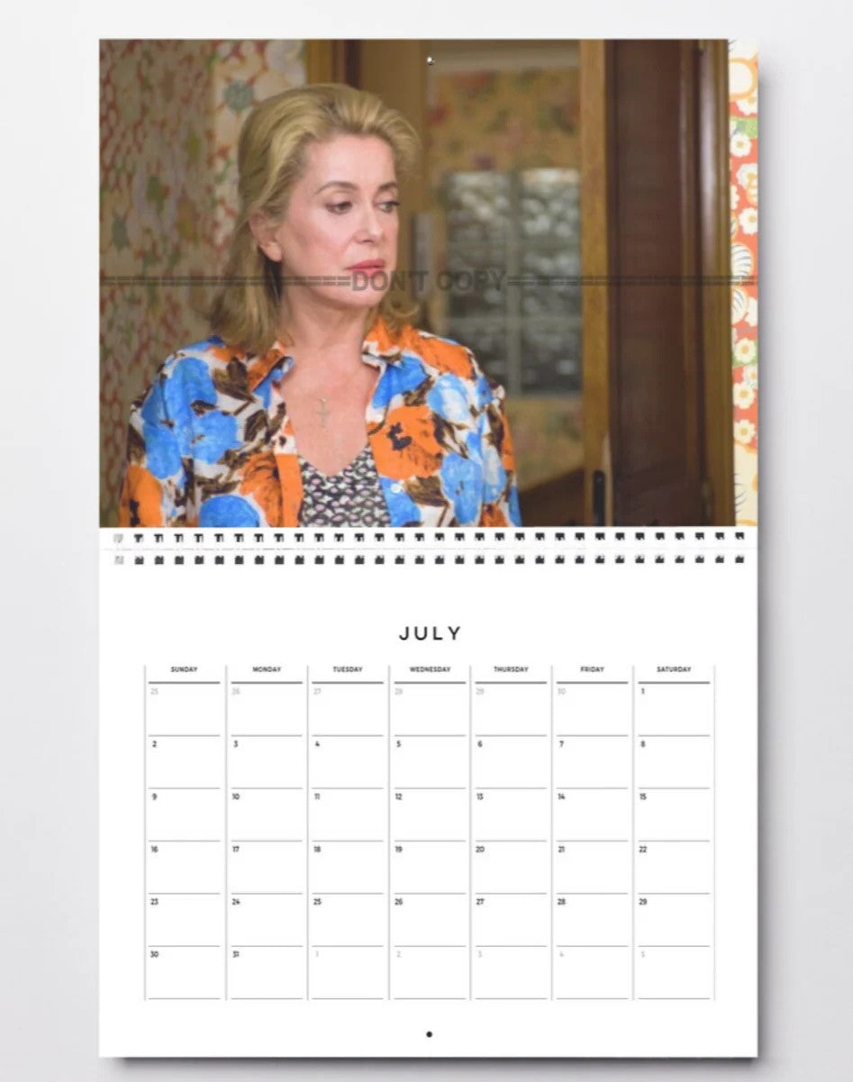 Photo Catherine Deneuve – La Fille du RER (2009) – Portrait Cinéma Drame – 15×20