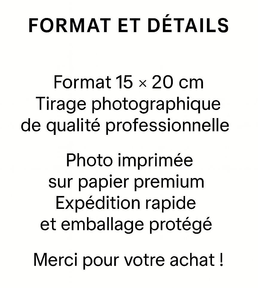 Photo Sophia Loren - Noir et blanc - 15×20