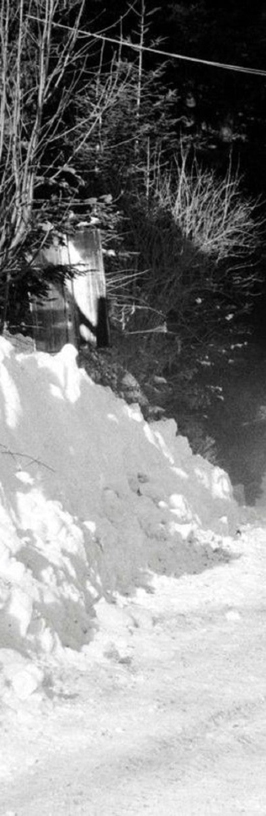 Photo Mosolov-Degtyarev – GAZ-21 Volga – Rallye Monte-Carlo 1964 – Neige – 15x20