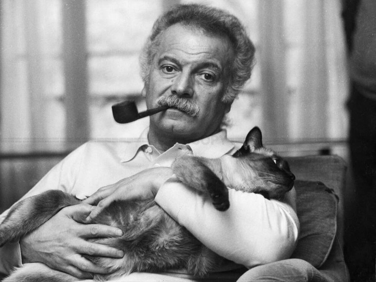 Photo Georges Brassens - Pipe à la bouche et chat dans ses bras | 1974 - 15 x 20