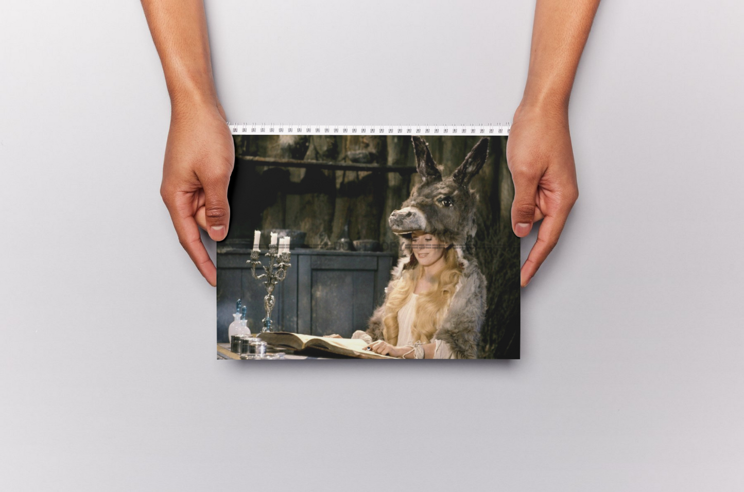 Photo Catherine Deneuve – Peau d’Âne (1970) – Conte Cinéma Fantaisie – 15×20