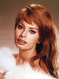 Photo Sophia Loren - Couleur - 15x20