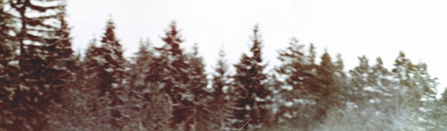 Photo Suchkov, Shchavelev – GAZ-21 Volga – Rallye Monte-Carlo Neige 1964 – 15×20