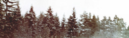 Photo Suchkov, Shchavelev – GAZ-21 Volga – Rallye Monte-Carlo Neige 1964 – 15×20