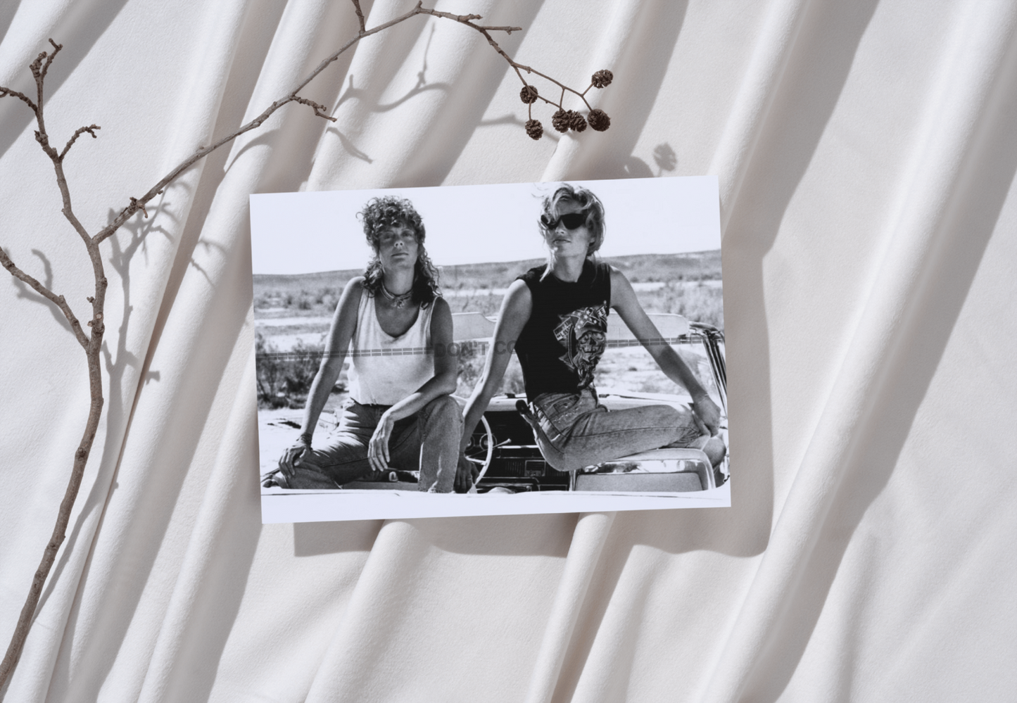 Photo Thelma et Louise (1991) – Scène Route Culte Cinéma – Noir & Blanc – 15×20