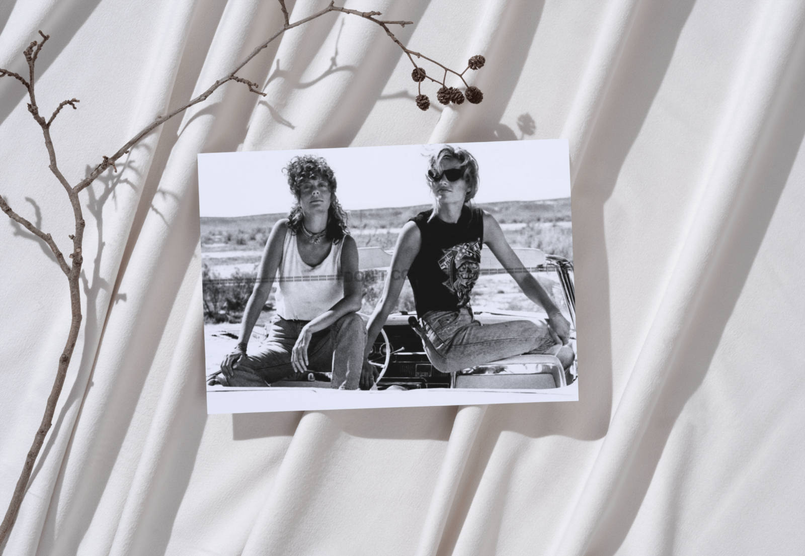 Photo Thelma et Louise (1991) – Scène Route Culte Cinéma – Noir & Blanc – 15×20