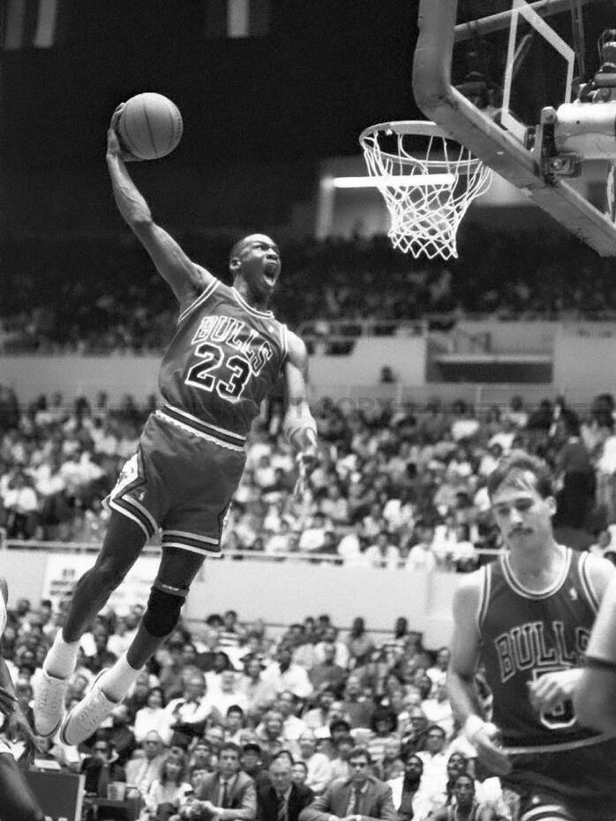 Photo Encadrée Michael Jordan - All Star Game - Chicago Bulls - Cadre - 15×20