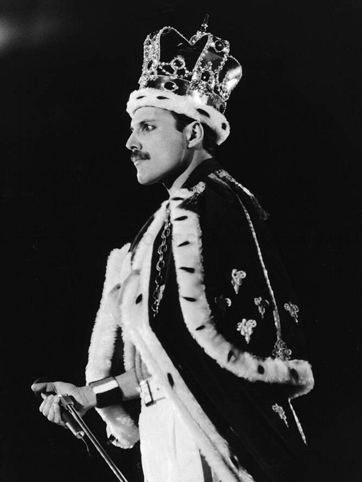 Photo Freddie Mercury avec une couronne et une cape - Magic Tour, 1986 - 15 x 20