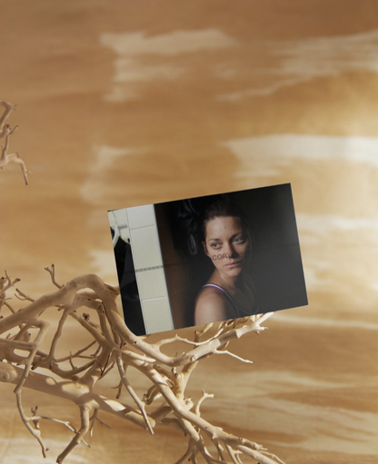 Photo Marion Cotillard – De rouille et d’os (2012) – Portrait Cinéma – 15×20