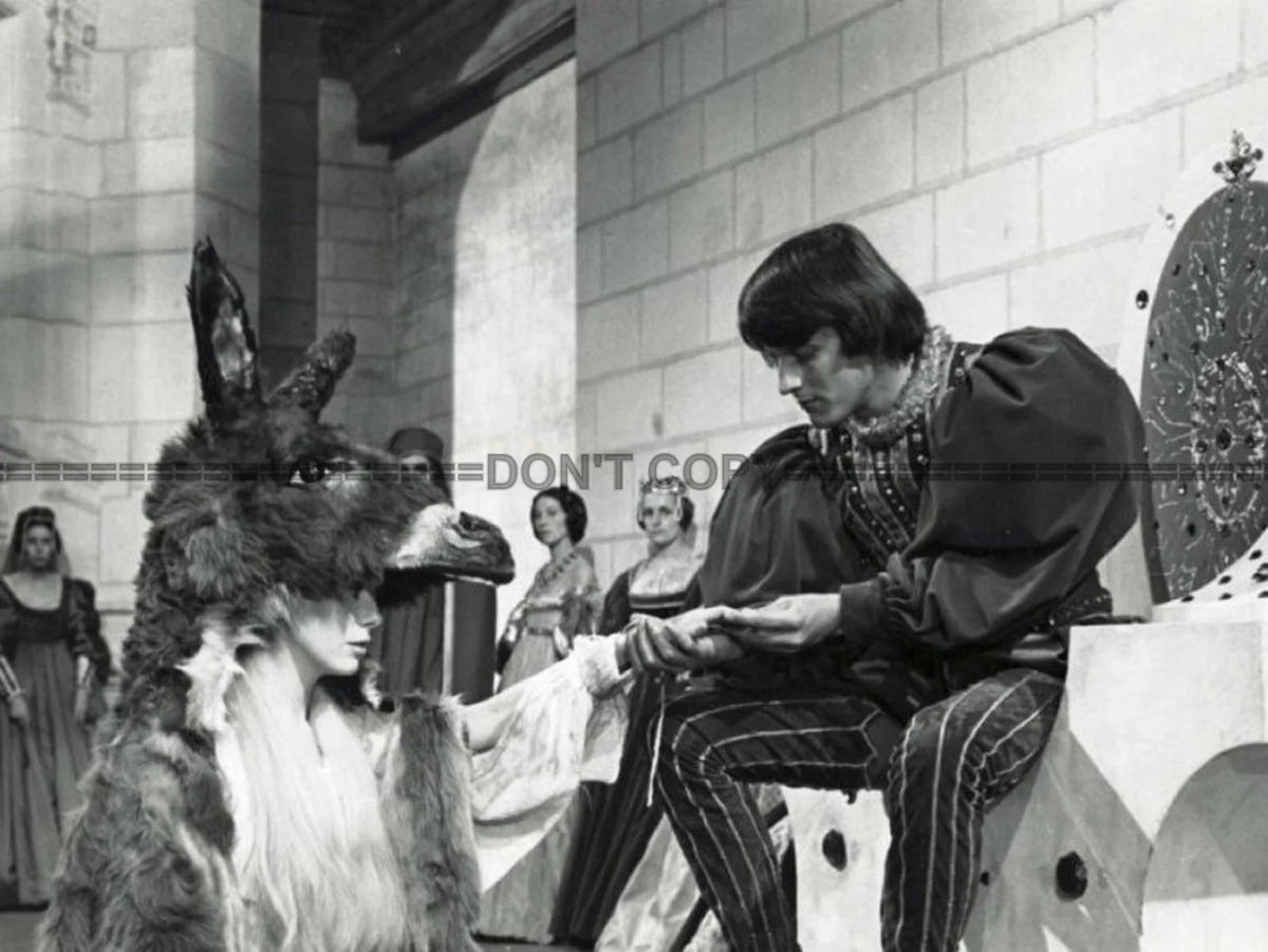 Photo Catherine Deneuve – Peau d’Âne (1970) – Scène Culte Conte Cinéma – 15×20
