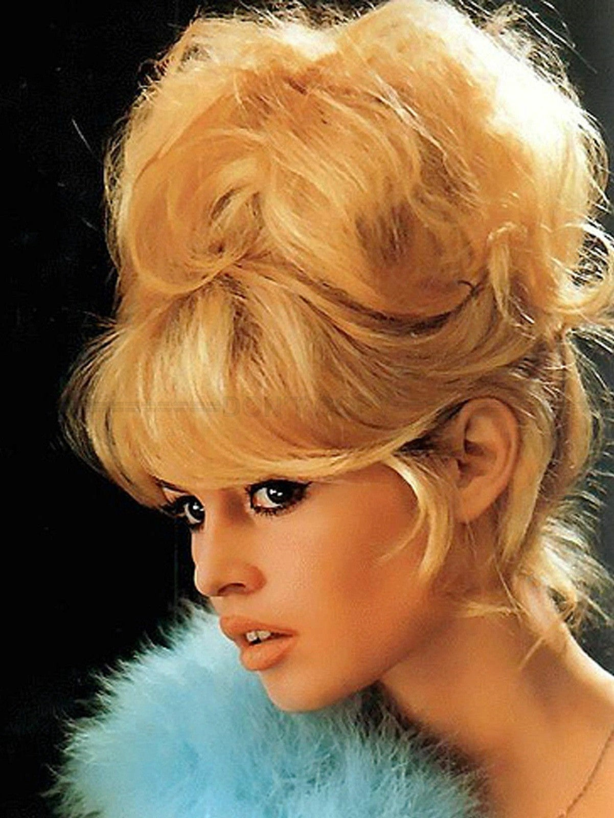 Photo Encadrée Brigitte Bardot - Couleur - (Cadre Bois Blanc) - 15x20