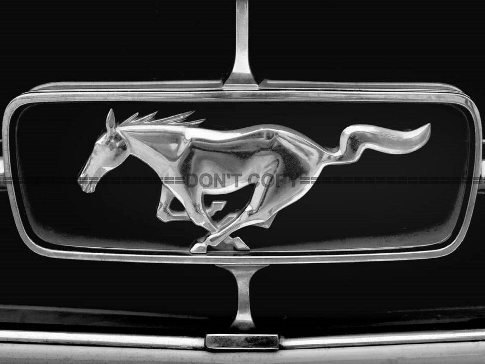 Photo Ford Mustang Emblème