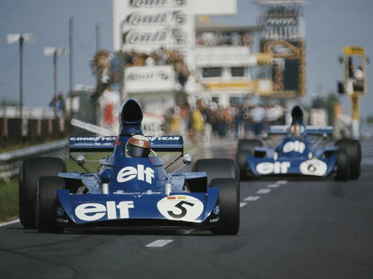 Photo Jackie Stewart & François Cevert - Grand Prix d'Allemagne - 1973 - 15 x 20