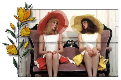 Photo Catherine Deneuve & F. Dorléac – Les Demoiselles de Rochefort 1967 – 15×20