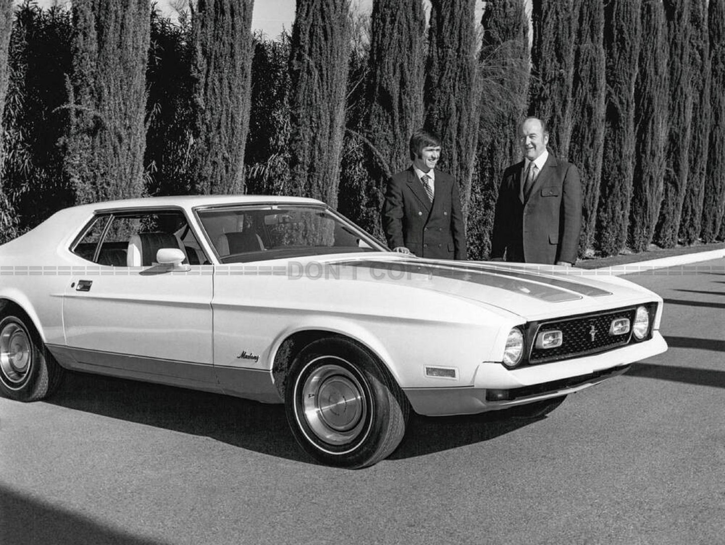 Photo Ford Mustang - 15x20