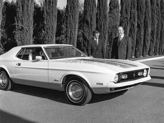 Photo Ford Mustang - 15x20