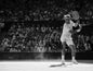 Photo Roger Federer "Steady" - La légende du tennis en plein échange - 15 x 20