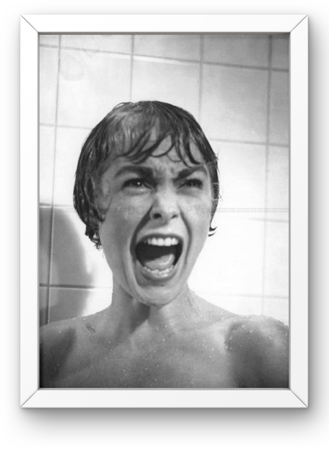 Photo Encadrée Janet Leigh - Marion Crane - Psychose (1960) - Cadre Bois - 15×20