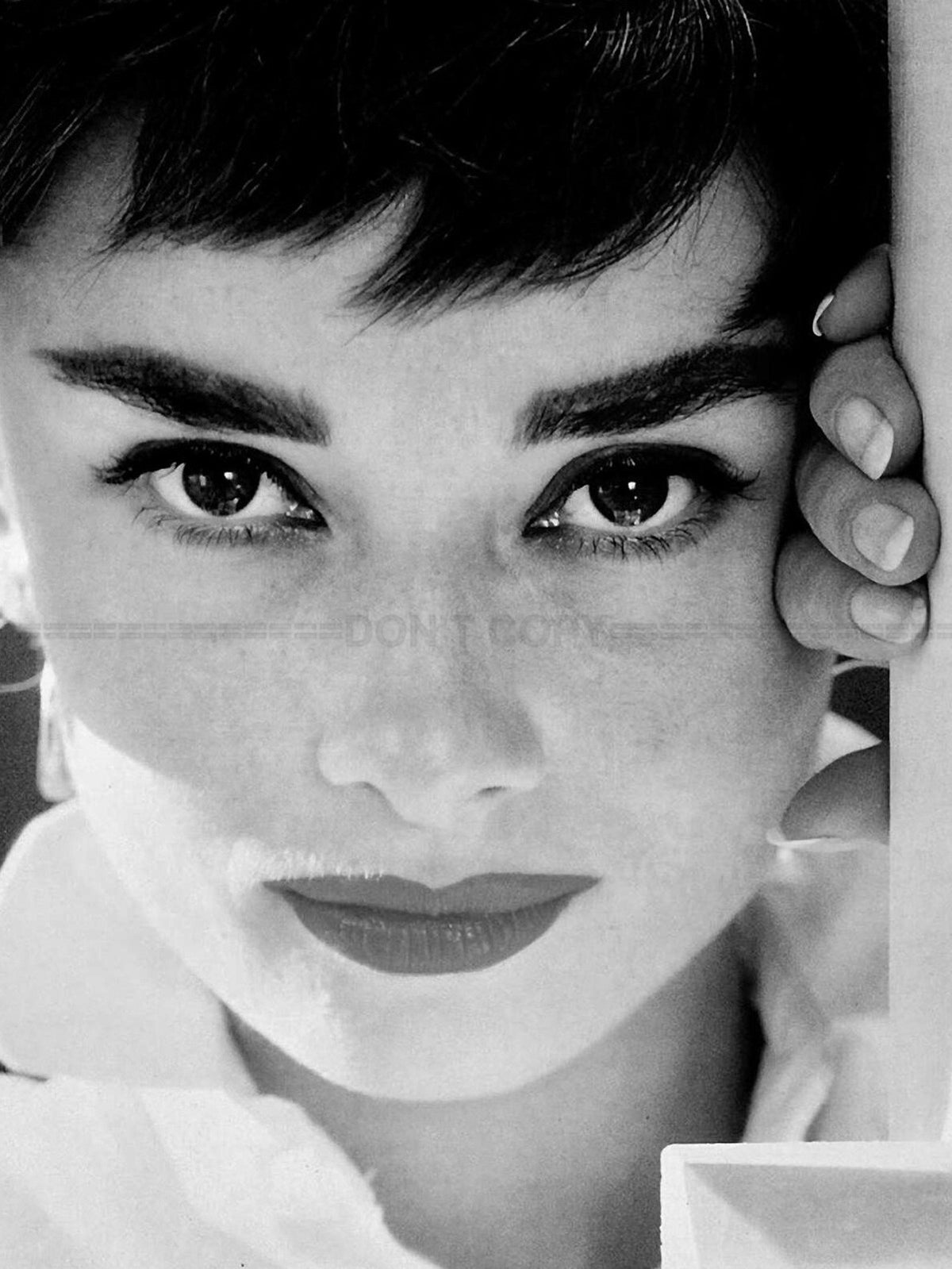 Photo Audrey Hepburn - Gros plan du visage capturé par Bill Avery (1953) - 15x20
