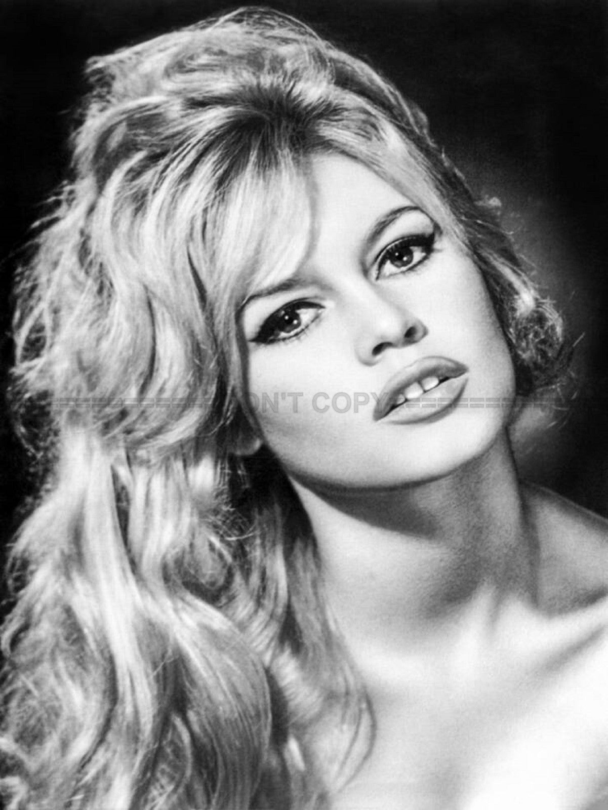 Photo Brigitte Bardot - Noir et blanc - 15×20