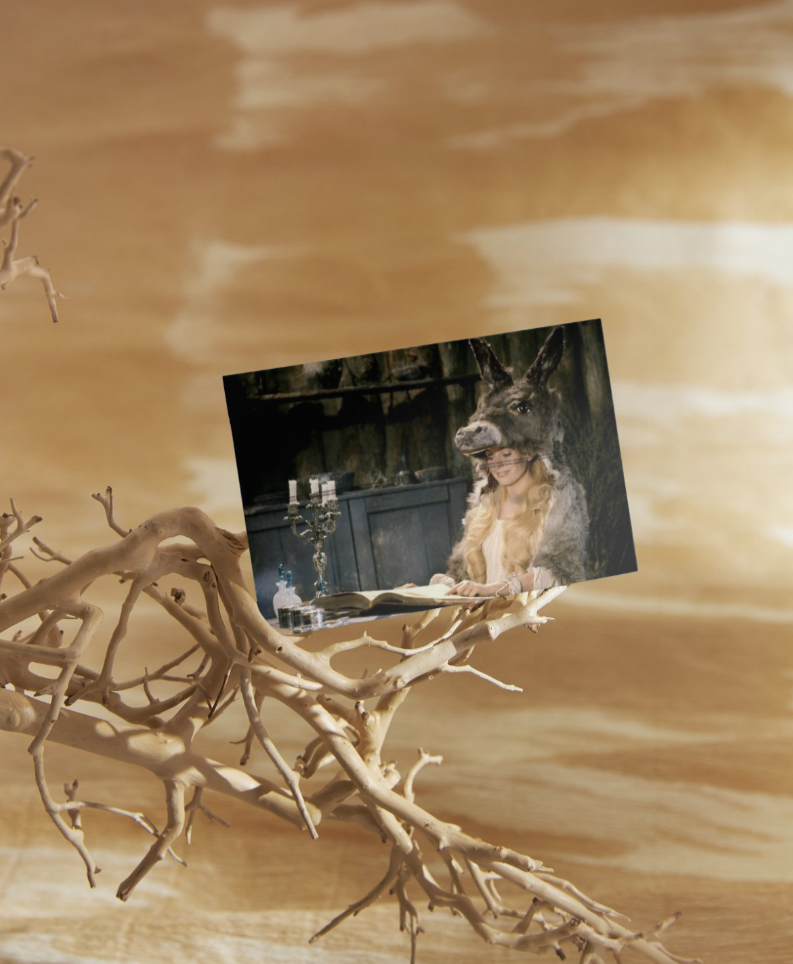 Photo Catherine Deneuve – Peau d’Âne (1970) – Conte Cinéma Fantaisie – 15×20