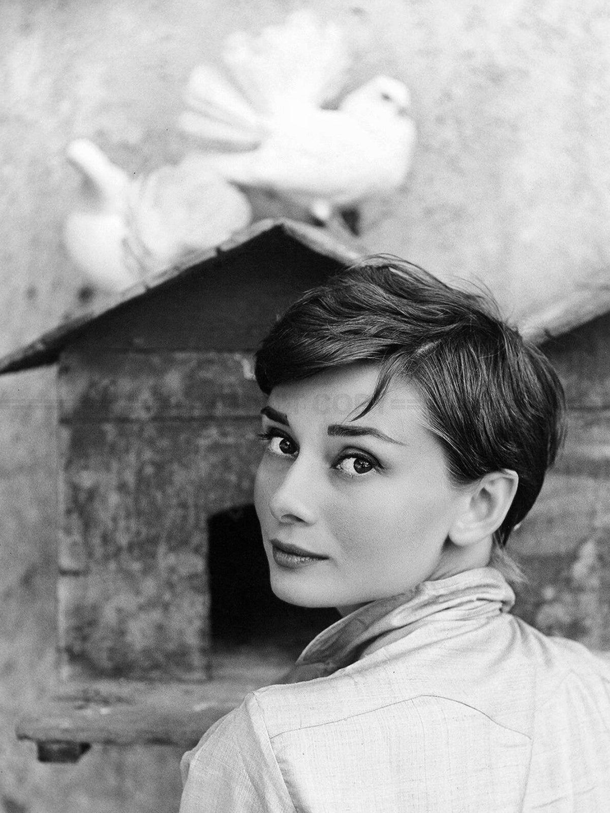 Photo Audrey Hepburn avec des colombes blanches en Italie, Juillet 1955 - 15x20
